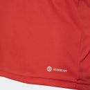 Camisola Internacional I 22/23 - Vermelho